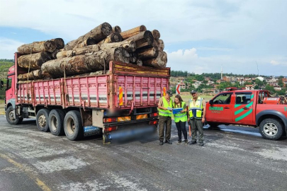 Bursa İnegöl'de orman ürünü taşıyan kamyonlara denetim