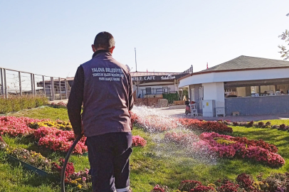 YALOVA BELEDİYESİ'NDEN PARK VE BAHÇELERE SONBAHAR BAKIMI